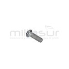TORNILLO PIÑON EXCENTRICO M3X8 (5) - motoscamaralweb.com