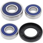 Kit rodamientos de rueda ALL BALLS 25-1272 - motoscamaralweb.com