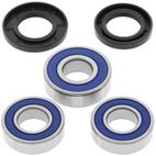 Kit rodamientos de rueda ALL BALLS 25-1066 - motoscamaralweb.com
