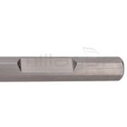 PUNTERO HEX PARA MARTILLO EDBRH2201 28X520 - motoscamaralweb.com