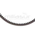 CORREA MC360 (12) - motoscamaralweb.com