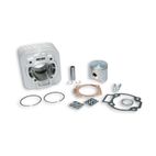 Cilindro MALOSSI ø65 mm - motoscamaralweb.com