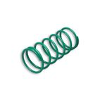 Muelle de embrague Malossi Blando Verde k 6.8 (-39%) - motoscamaralweb.com