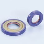 JUEGO RETENES POLINI PTFE/FKM CIGUEÑAL VESPA D.20 285.0006 - motoscamaralweb.com