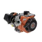 MOTOR BRIGGS&amp;amp;STRATTON KARTING 206 8.8 CV - motoscamaralweb.com