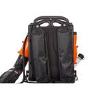SOPLADOR GASOLINA 65 c.c. - motoscamaralweb.com