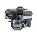 MOTOR HORIZONTAL 8HP 4.6kW 223cc - DM600 - motoscamaralweb.com