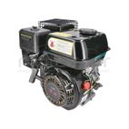 MOTOR COMPLETO 7CV RLT12GVH (49). BIO70 (24) - motoscamaralweb.com