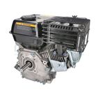 MOTOR COMPLETO 7CV RLT12GVH (49). BIO70 (24) - motoscamaralweb.com