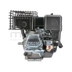 MOTOR COMPLETO 7CV RLT12GVH (49). BIO70 (24) - motoscamaralweb.com