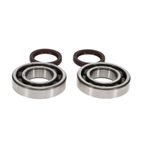 Kit de rodamientos y retenes de cigüeñal PROX - motoscamaralweb.com