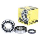 Kit de rodamientos y retenes de cigüeñal PROX - motoscamaralweb.com