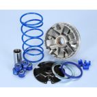 Variador Polini HI-SPEED MALAGUTI PHANTOM F12R (241676) - motoscamaralweb.com