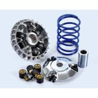 Variador POLINI - motoscamaralweb.com