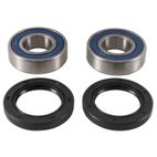 Kit rodamientos de rueda ALL BALLS 25-1738 - motoscamaralweb.com