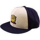 Gorra TROY LEE DESIGNS Flat Bill Snapback Happy Dayz - Indigo/Pumice - motoscamaralweb.com