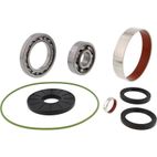 ALL BALLS Differential Bearing &amp; Seal Kit - motoscamaralweb.com