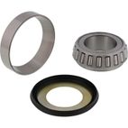ALL BALLS Steering Bearing Kit with Seal - motoscamaralweb.com