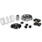 Variador Malossi Multivar 2000 Piaggio 125/150 5111258 - motoscamaralweb.com