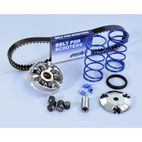 Variador POLINI - motoscamaralweb.com