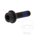 Tornillo Disco Freno OEM M8x1.25x30mm | Rec. Original | Motos Camaral