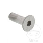 Tornillo avellanado OEM M8x1.25x26MM | Rec. Original | Motos Camaral