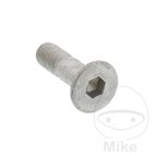 Tornillo Avellanado OEM M8x1.25x25 | Recambio Original | Motos Camaral
