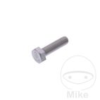 Tornillo Corona M8 x 1.25X30MM | Recambio Moto | Motos Camaral