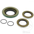Kit Rodamiento Diferencial Trasero AllBalls | Motos Camaral