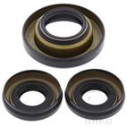 Kit Rodamientos Diferencial Delantero | All Balls | Motos Camaral