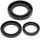 Kit Rodamiento Diferencial Trasero Kawasaki KLF 300 | AllBallsRacing