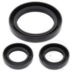 Kit Rodamiento Diferencial Delantero All Balls | Motos Camaral