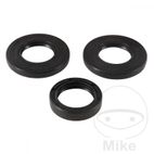 Kit Rodamientos Diferencial Delantero Polaris | All Balls | Motos Camaral