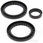 Kit Rodamiento Diferencial Trasero All Balls | Motos Camaral