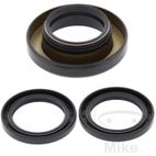 Kit Rodamiento Diferencial Trasero All Balls | Motos Camaral