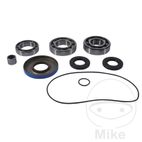 Kit Rodamiento Diferencial Trasero AllBallsRacing | Motos Camaral