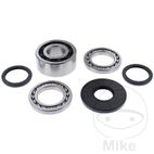Kit Rodamientos Diferencial Delantero All Balls | Motos Camaral