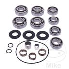 Kit Rodamiento Diferencial Polaris Sportsman 500 | AllBallsRacing