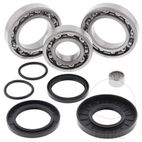 Kit Rodamientos Diferencial Kawasaki KVF 300 | All Balls | Motos Camaral