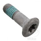 Tornillo Corona OEM M8x1.25x26mm | Rec. Original | Motos Camaral