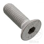 Tornillo Corona M8x1.25x20 OEM | Rec. Original | Motos Camaral