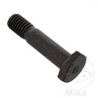 Tornillo Corona M8x1.25x35mm OEM | Rec. Original | Motos Camaral
