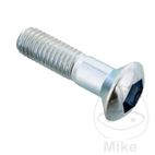 Tornillo Corona OEM M8x1.25x27mm | Recambio Original | Motos Camaral