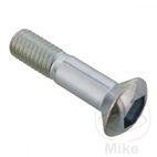 Tornillo Corona OEM M8x1.25x30MM | Recambio Original | Motos Camaral