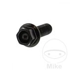 Tornillo Corona M6x1x20mm Inox V4A Negro | Motos Camaral