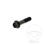 Tornillo Corona M8x1.25 40mm Inox V4A Negro | Motos Camaral
