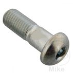 Tornillo Corona OEM M10x1.25x29MM | Rec. Original | Motos Camaral