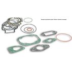 Kit completo de juntas para kit cilindro Malossi Ø47. 051136 - motoscamaralweb.com