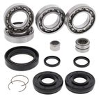 ALL BALLS Front Differential Bearing &amp; Seal Kit - motoscamaralweb.com