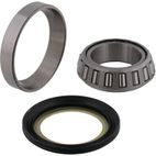 ALL BALLS Steering Bearing Kit with Seal - motoscamaralweb.com